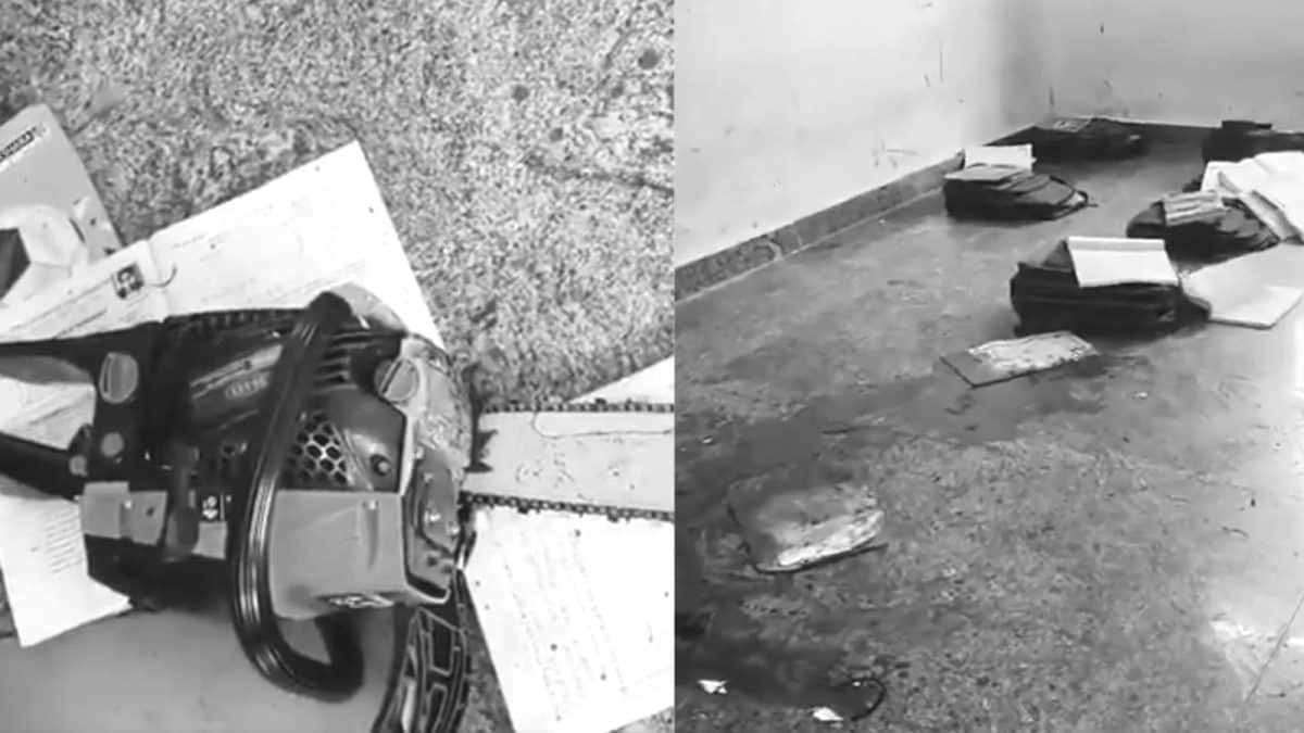 Andhra Pradesh School Attack: Class 10 Girl Critically Injured with Chainsaw