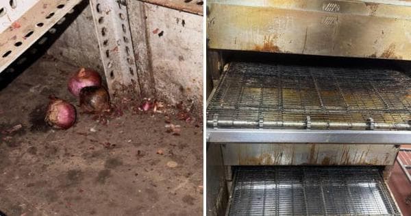 Maharashtra FDA Suspends Licences of 8 Eateries, Seizes 38 Tonnes of Food Stock