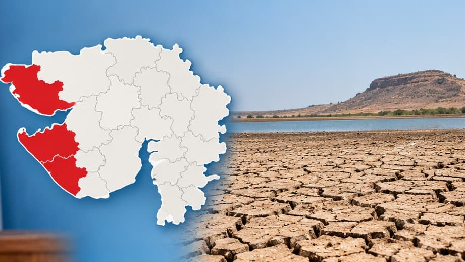 Gujarat Declares 4 Districts as Drought-Affected Due to Low Monsoon Rainfall