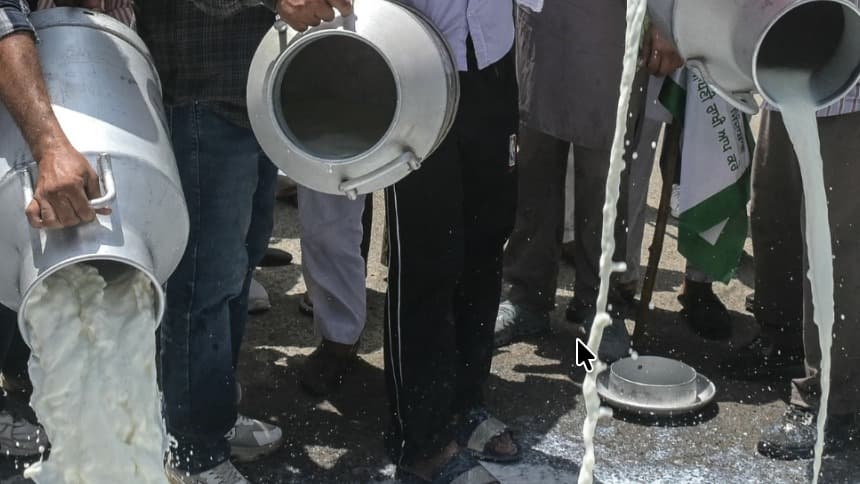 Maharashtra FDA Destroys 564 Litres of Adulterated Milk During Inspections